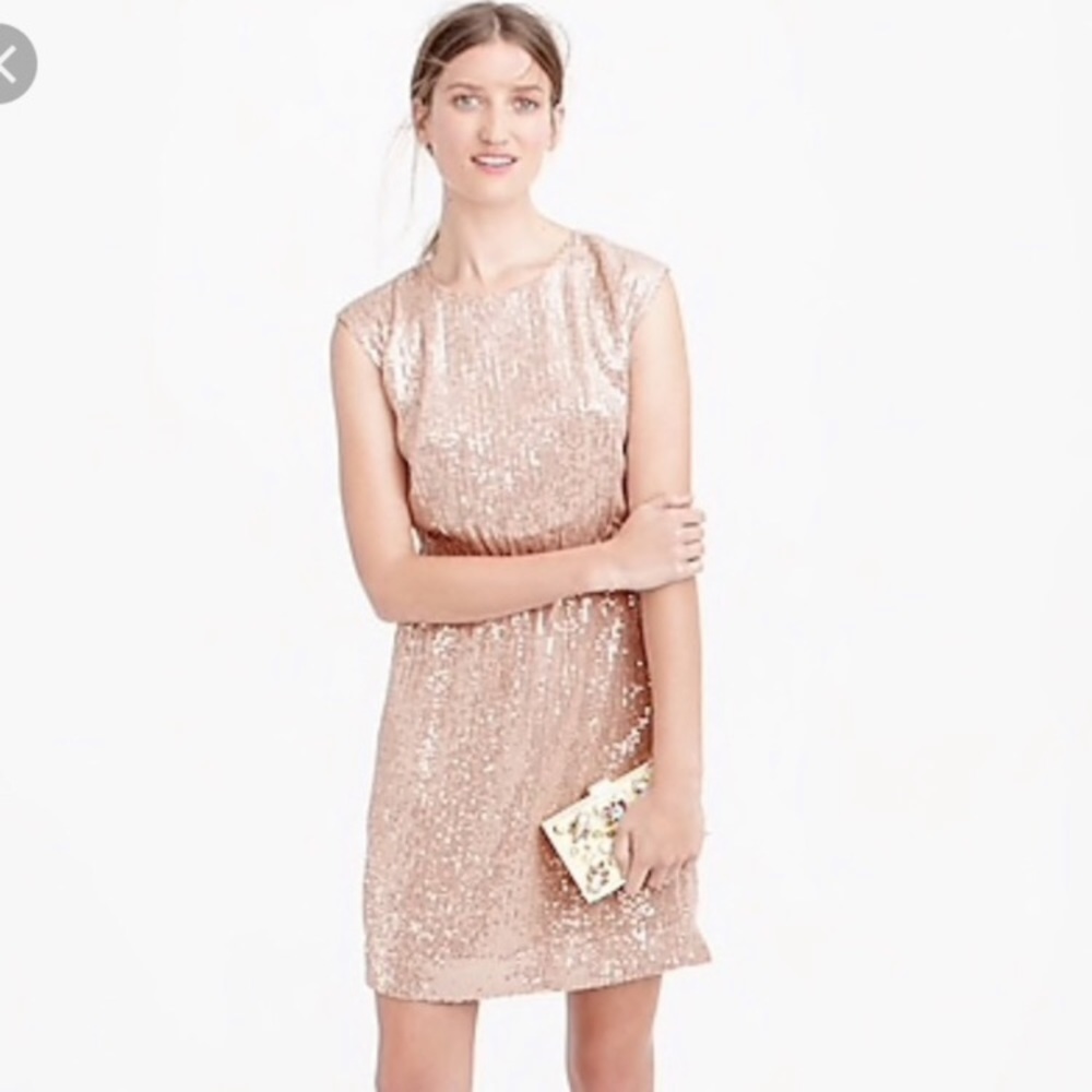 NWT JCrew sz 2 blush sequin dress
